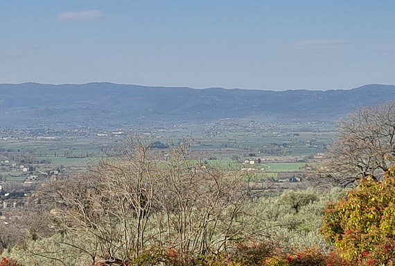 Pellegrinaggio ad Assisi