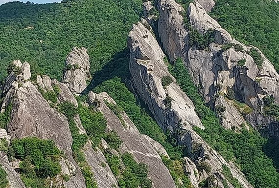 Tricarico e Castelmezzano