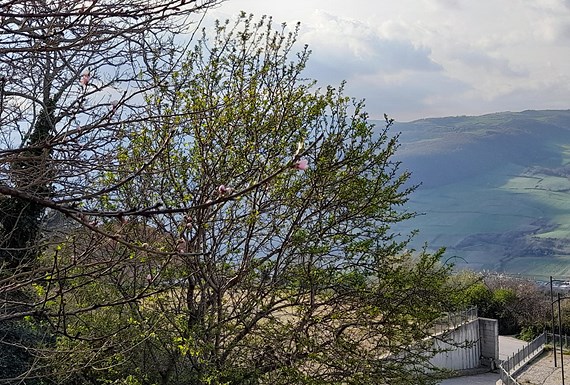 Pellegrinaggio a Bovino